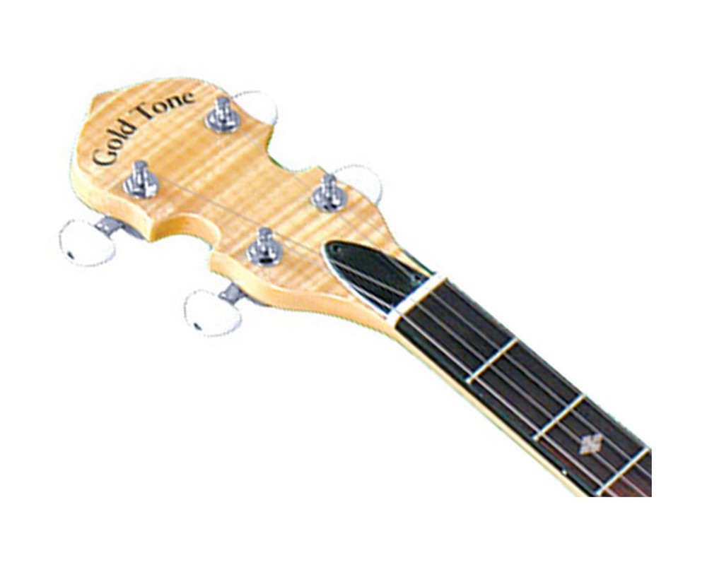 Gold Tone CC-100 Intermediate Openback Banjo - Open Box