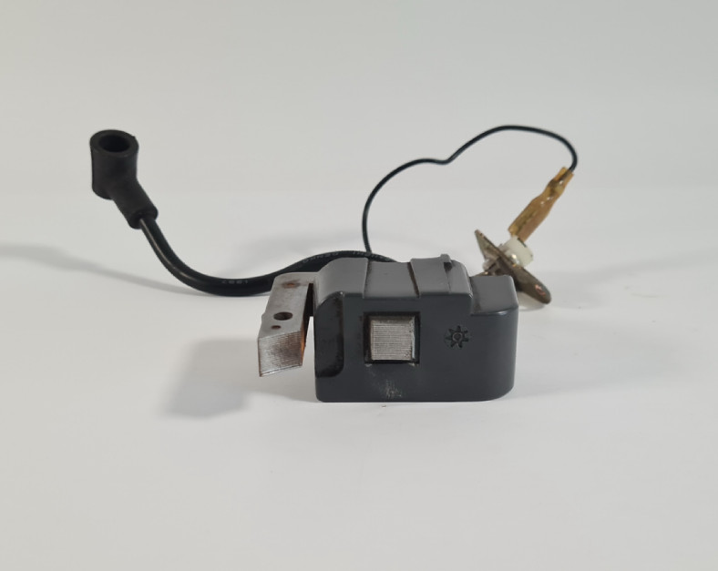 Echo GT-2000 Genuine OEM Ignition Coil & Kill Switch (Tested)