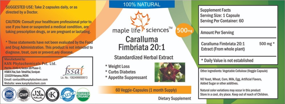 Burdock Root 10:1 Extract Capsules Pure & High Quality