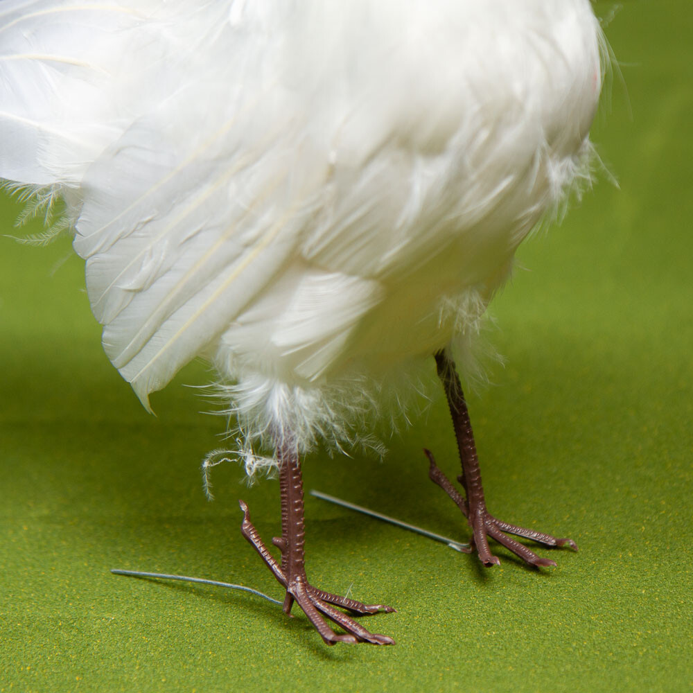 10" Artificial White Feathered Decorative Hen Chicken