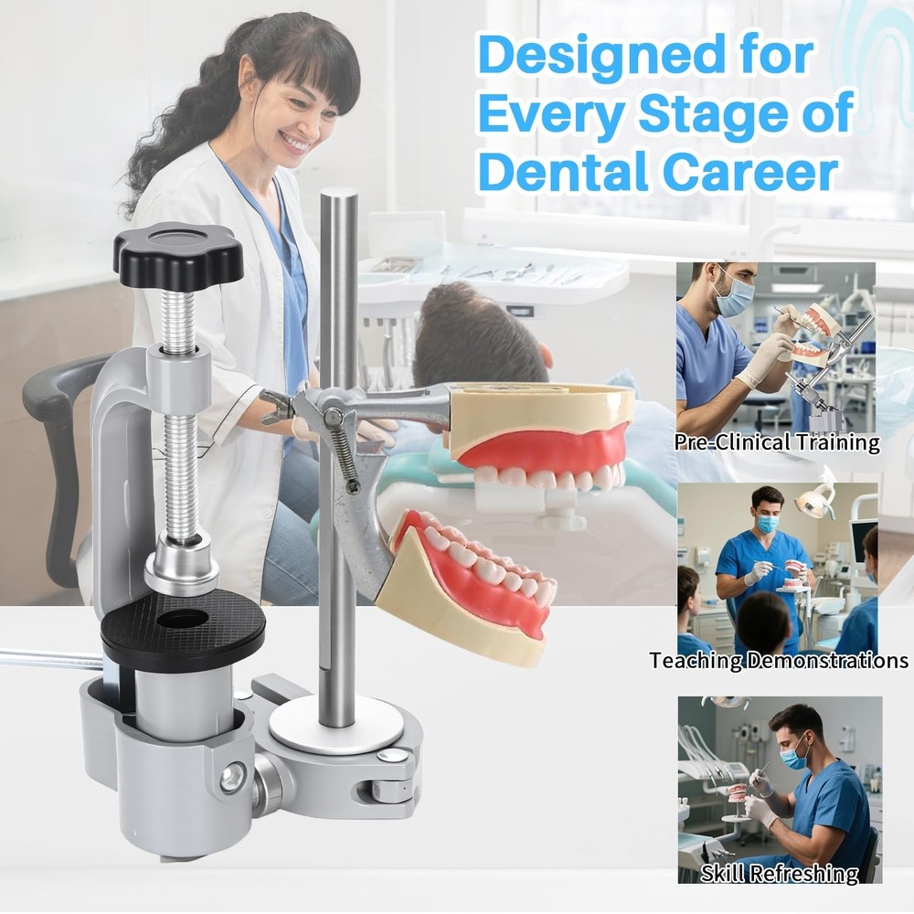 Typodont Teeth Model Mount, Pole Teeth Model Training Mount Fixed on Desk Tra...