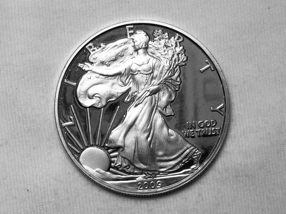 Daniel Carr - 2009 DC "Proofed" Silver Eagle, Thin mintmark type
