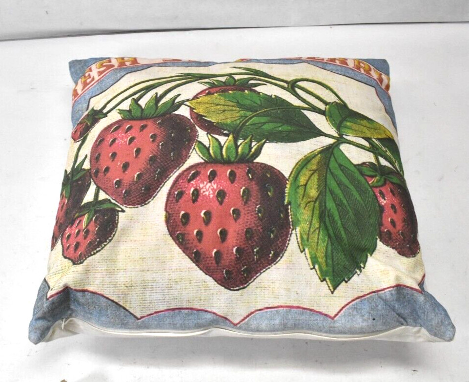 CTW Fresh Strawberries Decorative Throw Pillow Square 18" x 18" Garden Design