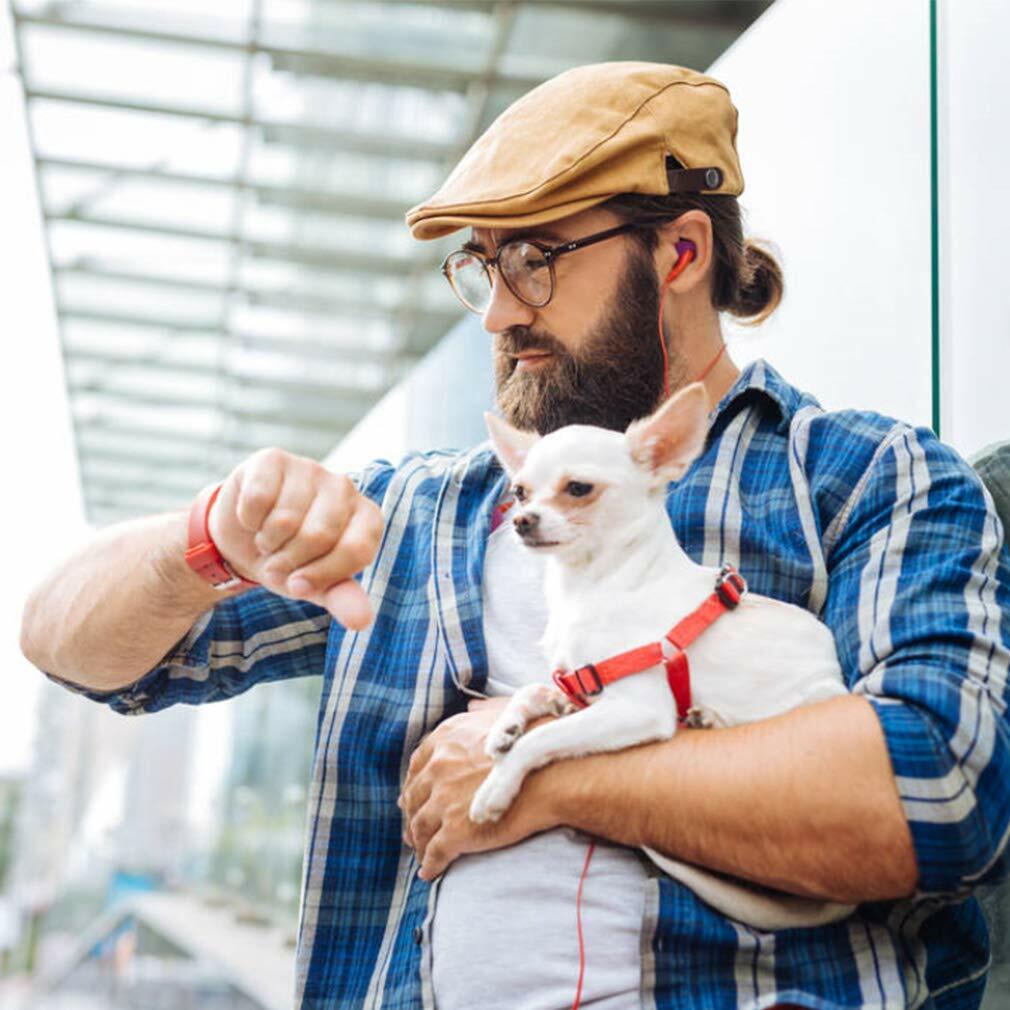 Pet Stroller 4 Wheels Posh Folding Waterproof Portable Travel Cat Dog Stroller