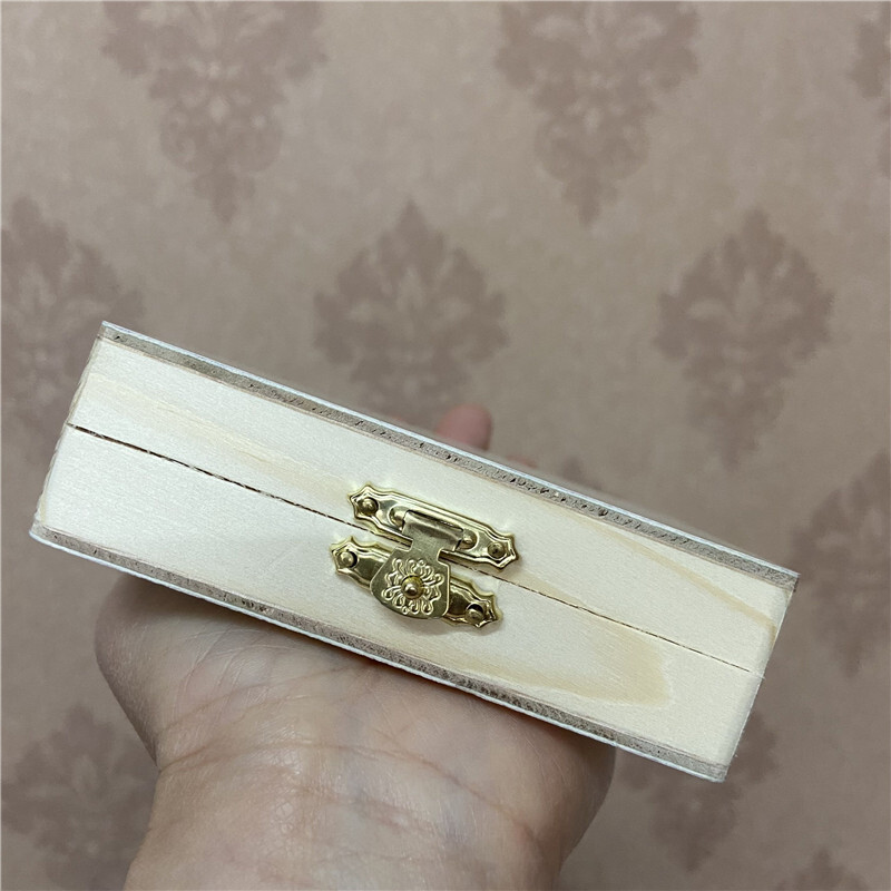 Microscope Slide Storage Wooden Box Specimen Holding Storage Case with Lock
