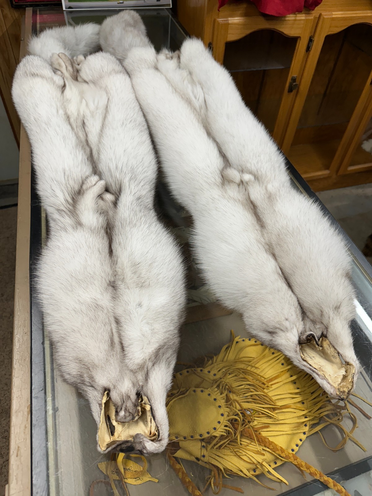 BLUE FOX EXTRA EXTRA HEAVY GORGOUS TOP OF THE LINE FROM NORWAY