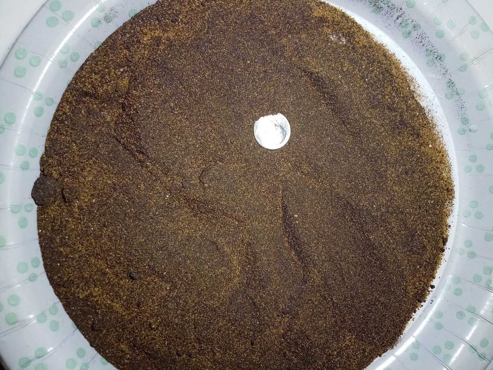 1+ Pound Gold Sluice Concentrate Magnetite Hematite Ilmenite