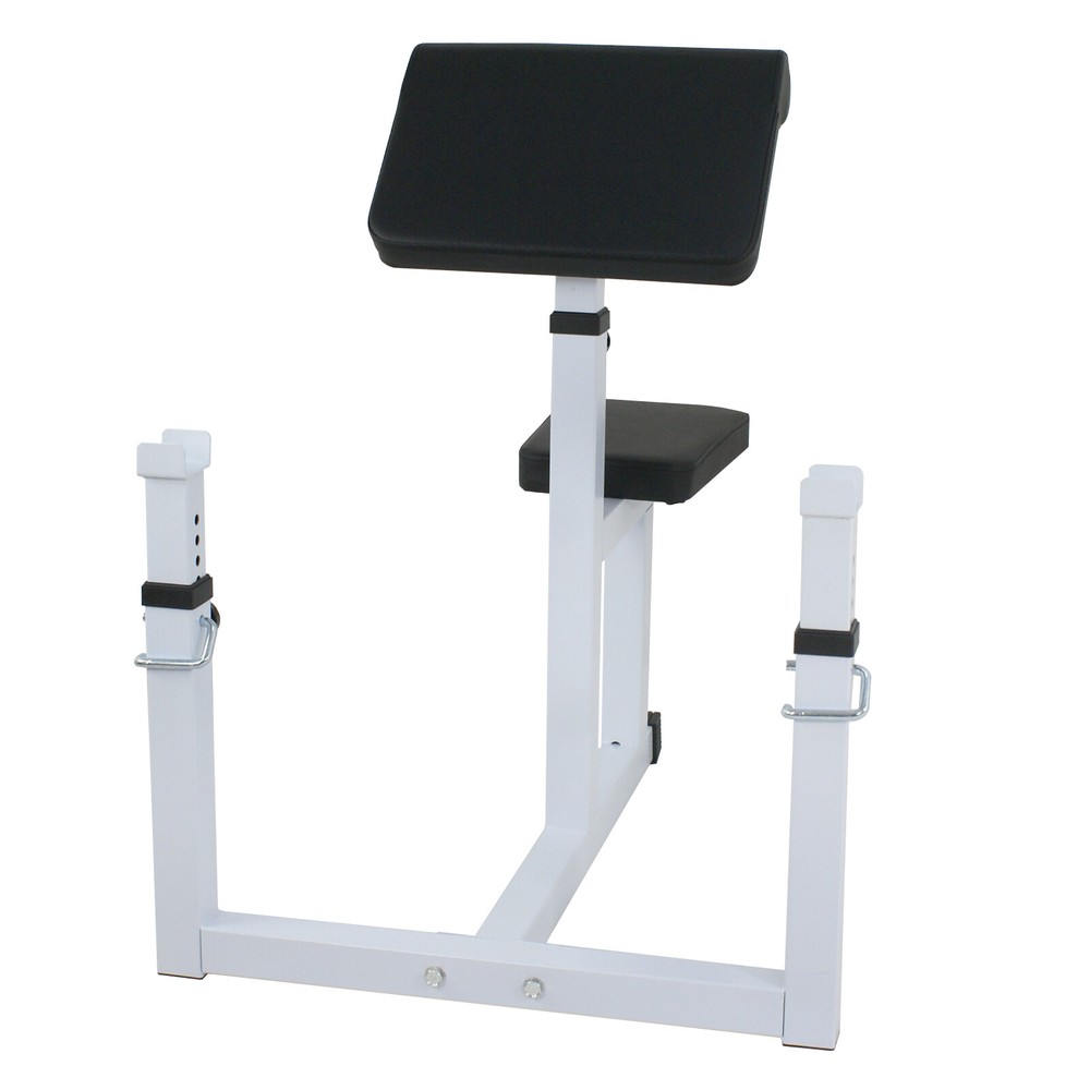 Arm Curl Weight Bench Seated Arm Isolated Dumbbell Biceps Strength Training
