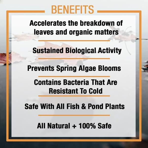 Microbe Lift Autumn / Winter Prep 1 Quart Pond Winterizing Kit 2 Pack AUTPREP