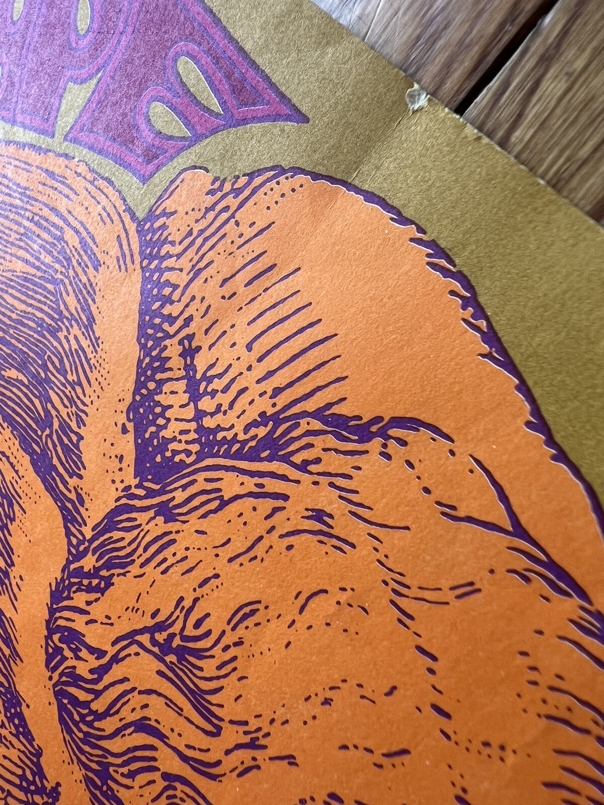 JANIS JOPLIN BIG BROTHER AND THE HOLDING COMPANY AT THE ARK VINTAGE POSTER 1967