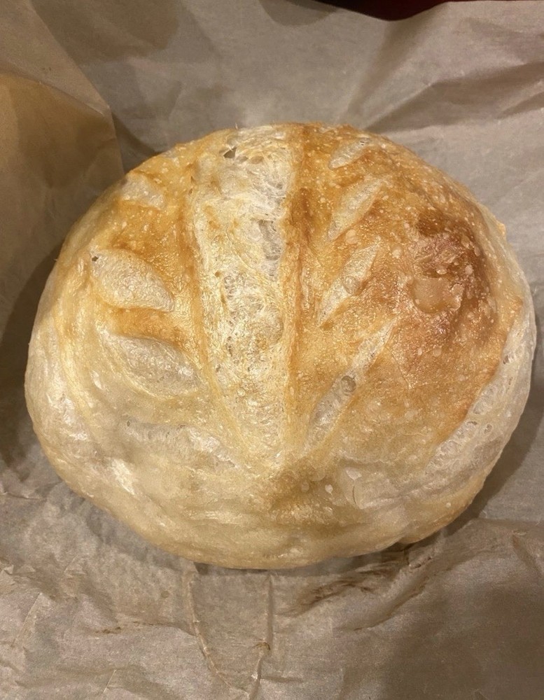 Dehydrated Sourdough Starter!