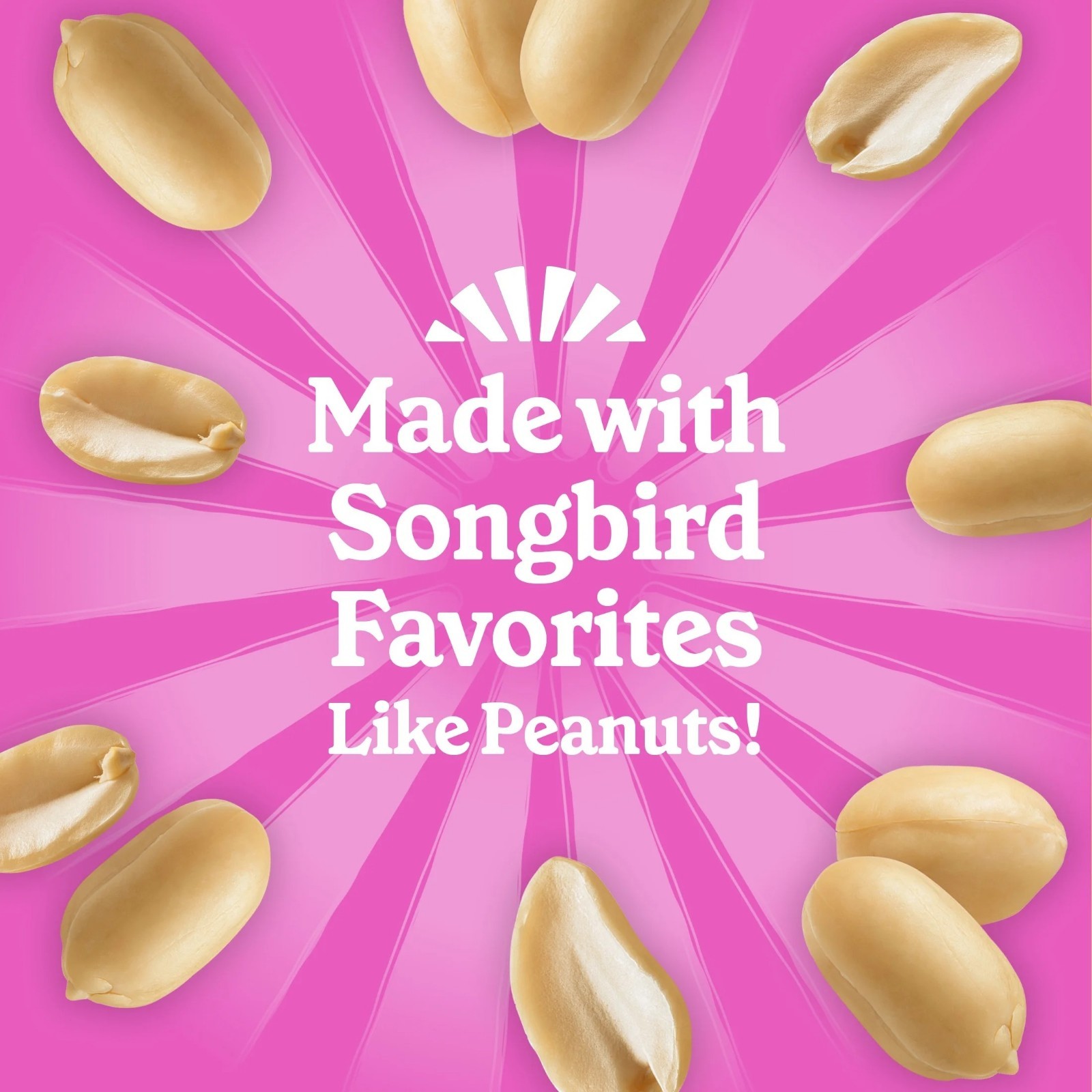 Pennington Feeding Frenzy No-Melt Suet Dough Woodpecker & Songbird Suet Cakes fo