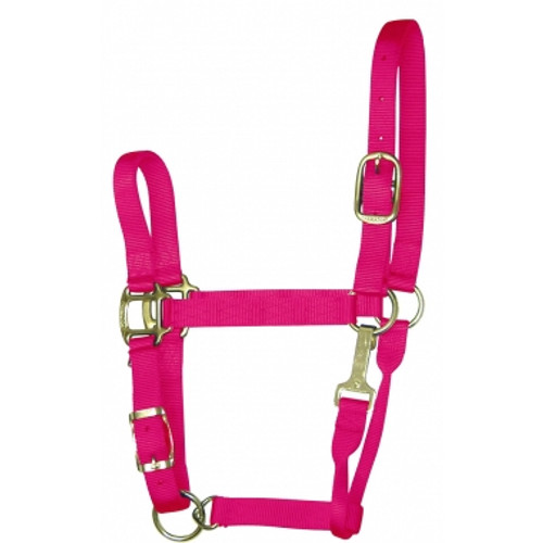 Hamilton Quality 1" Nylon Adjustable Halter With Snap