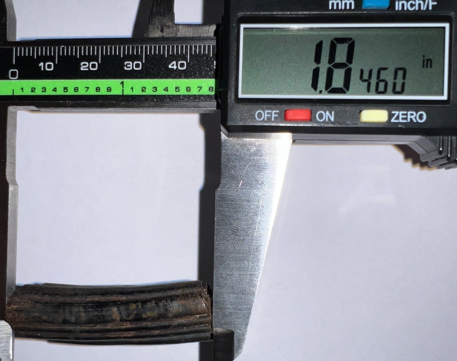 Framed Rare Ice Age Fossil Giant Extinct Beaver Tooth CASTOROIDES 1.84 Inches!