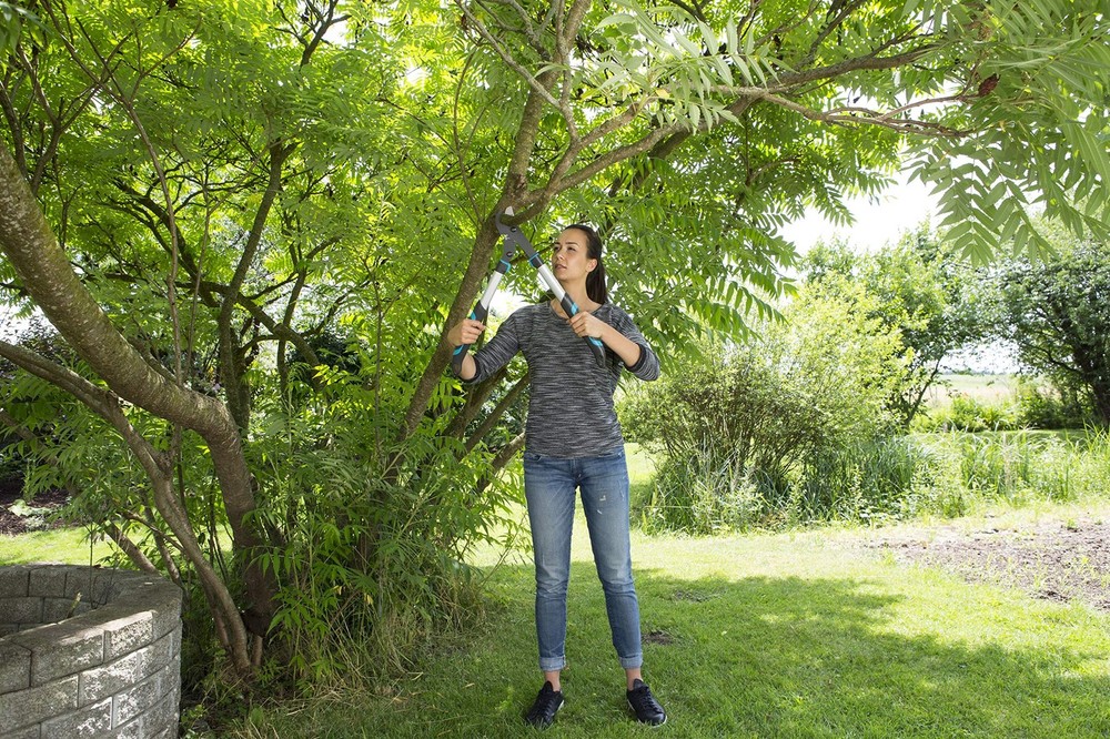 1.65 Inch Cut Capacity 24" Bypass Pruning Lopp
