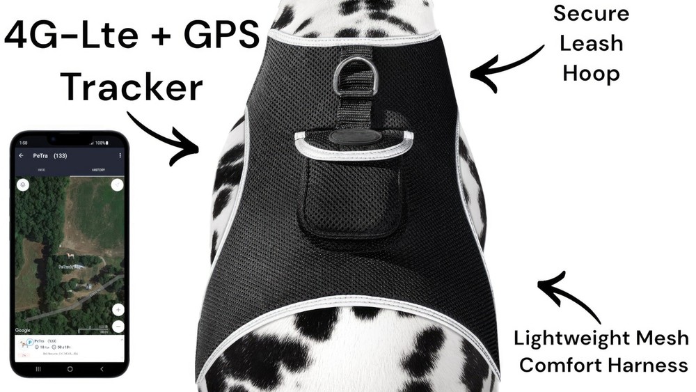 iTrackPET MINI GPS Dog Tracking and Training Collar Device
