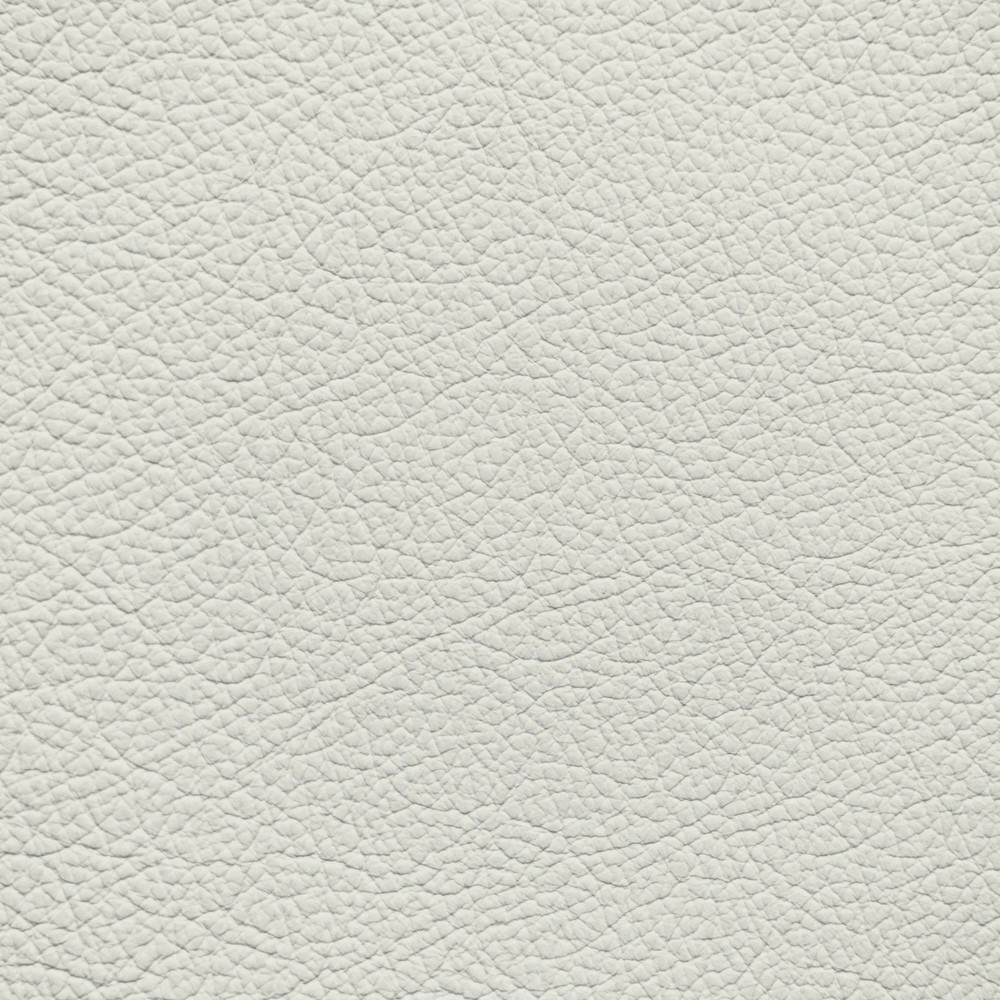 Audi Pearl Beige Leather Dye