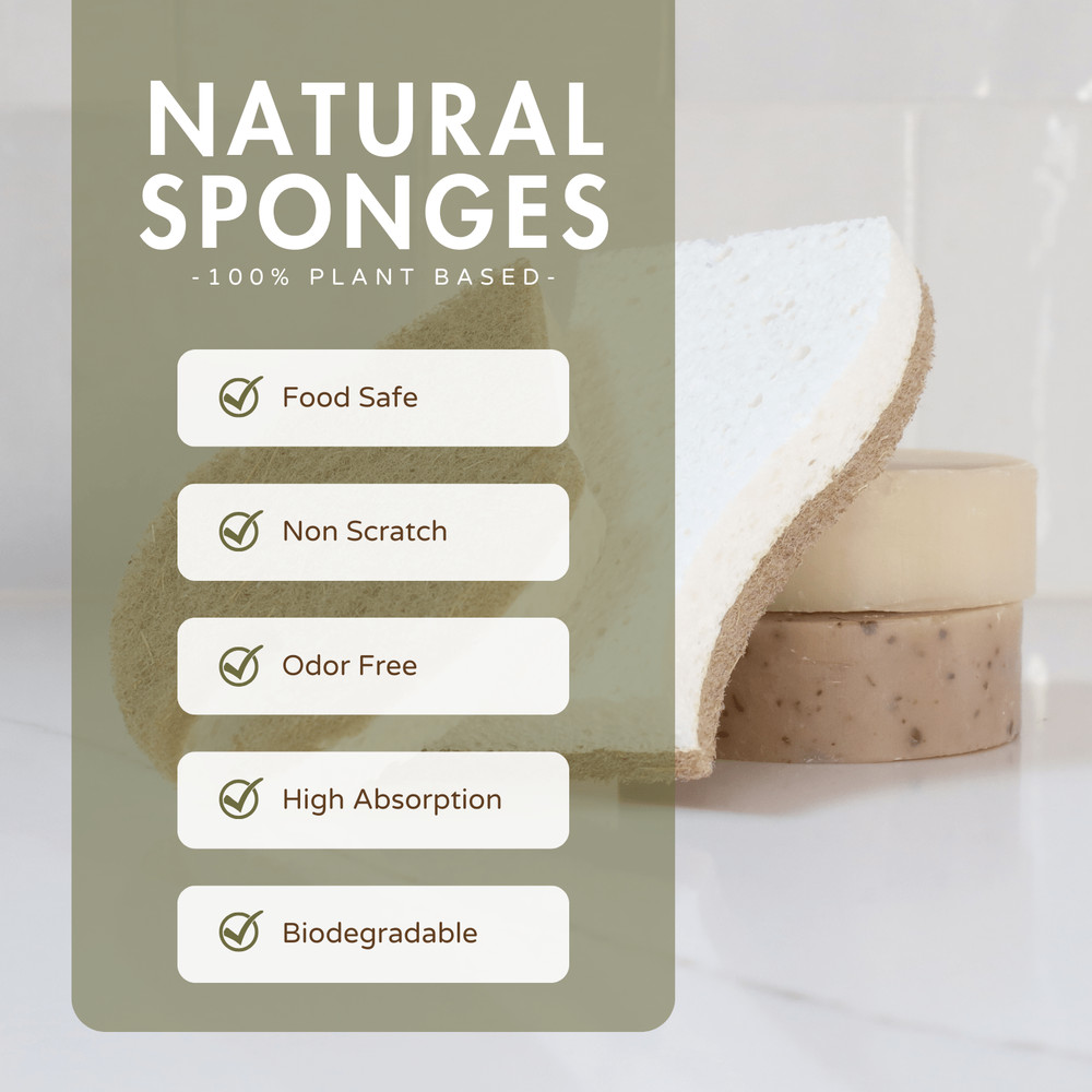 Beille 2pk Non Scratch Coconut Plant Based Dish Sponge Kitchen Tools (2 Styles)