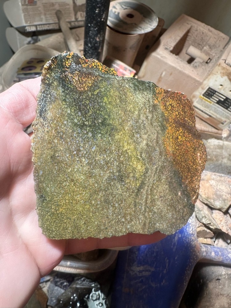 Dinosaur bone rough **hxtled slab.