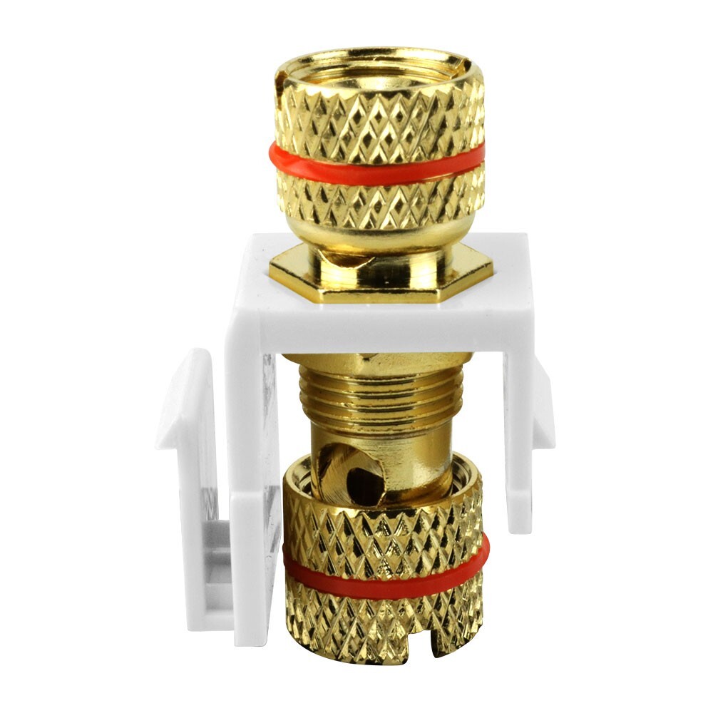 Construct Pro™ Gold-Plated Speaker Binding Post Insert (White, Red Band)