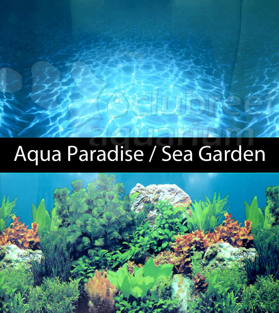 Aqua Paradise/Sea Garden 2 Scene 24" Aquarium Background