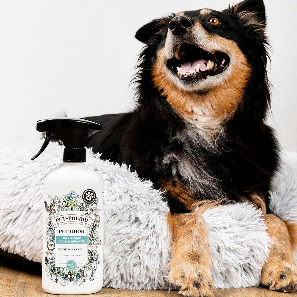 Pet Odor Eliminator, Pet-Pourri