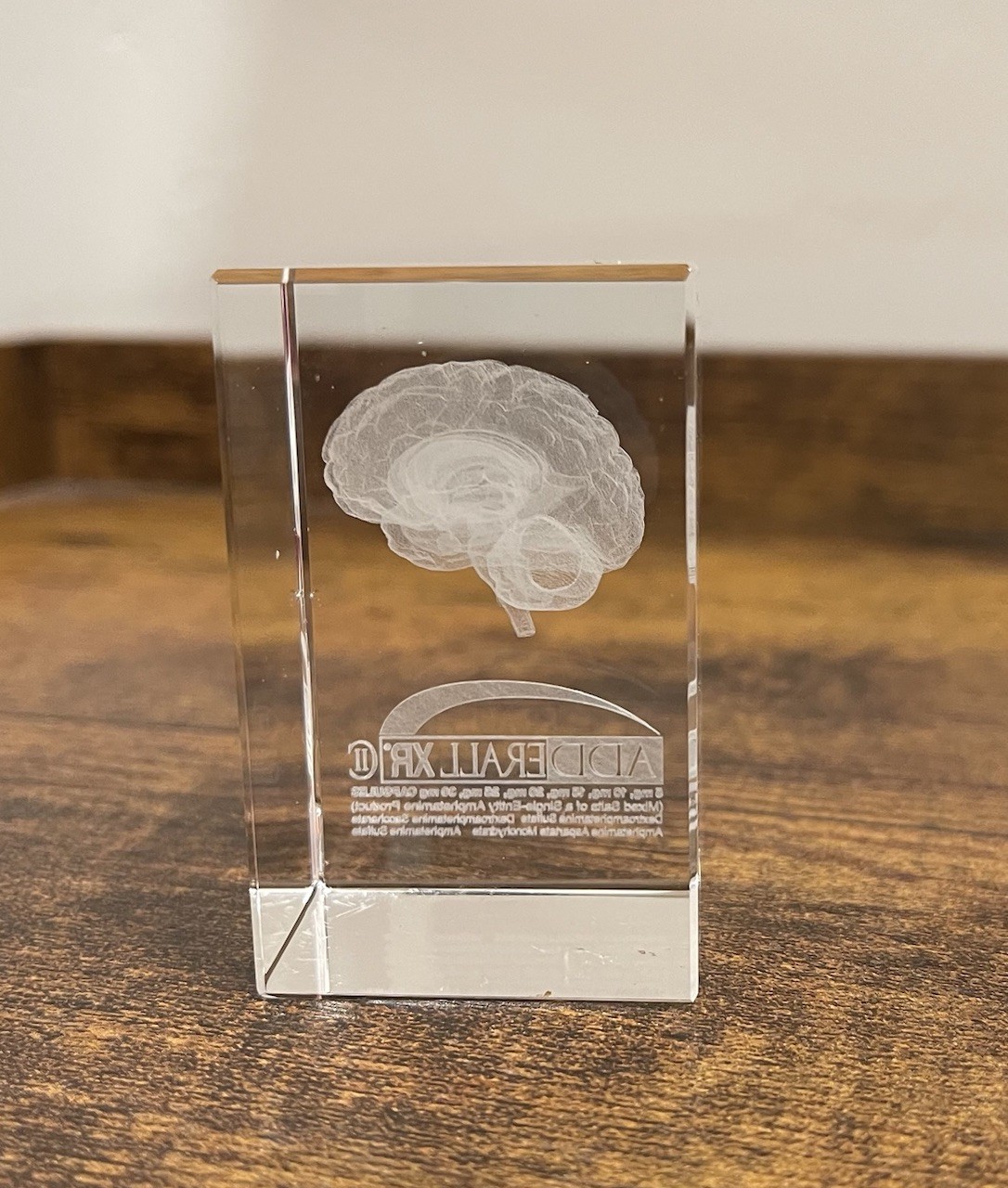 Adderall XR Acrylic Etched Glass Brain Collectible Model