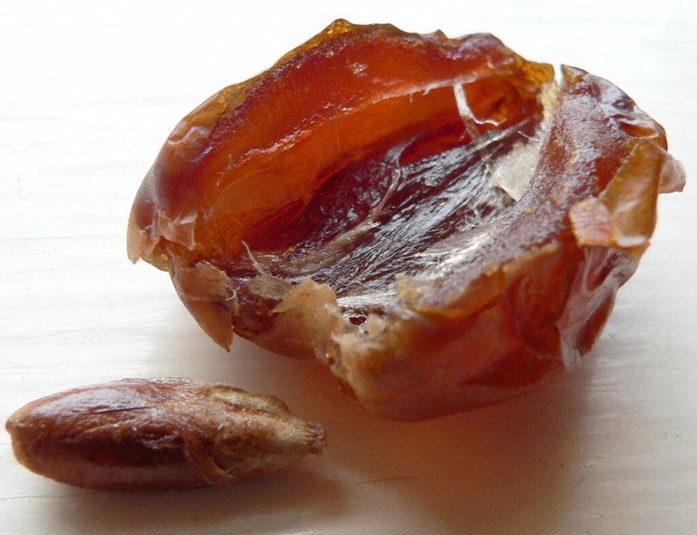 COACHELLA CALIFORNIA REGULAR LARGE PITTED DATES