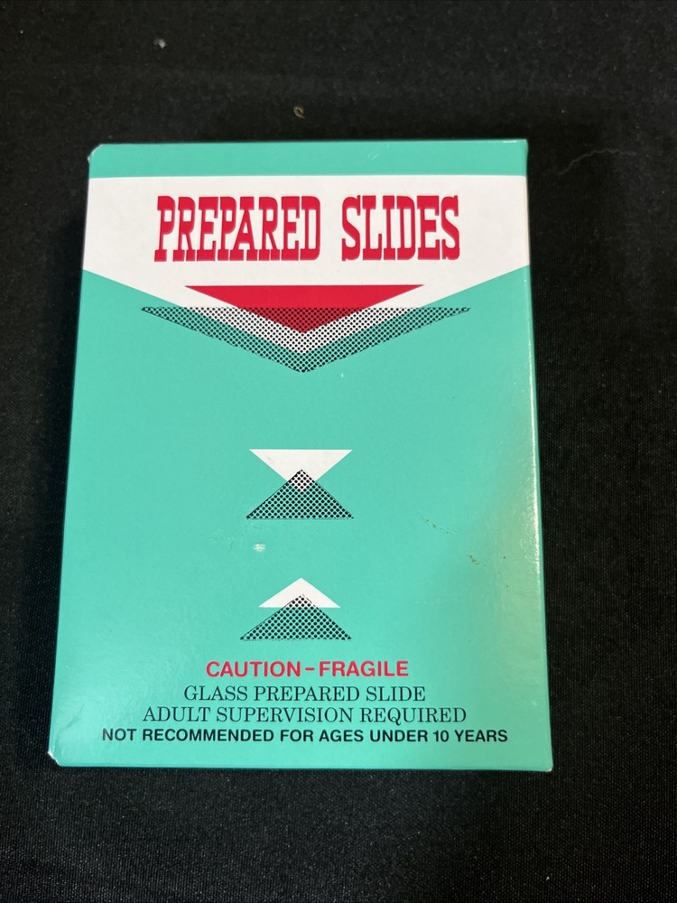 1960's, Prepared Microscope 11 Insect Slides