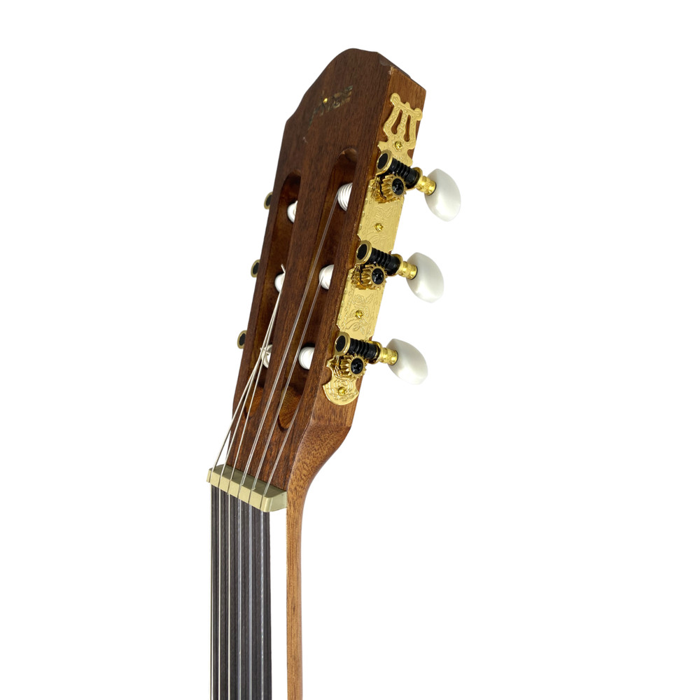 Haze Solid Top Fretless Arched Back Classical Guitar - Matte C551BCEQSMFL