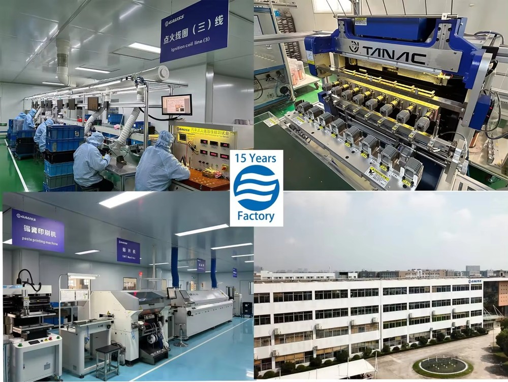 GAUSS TEST DEVICE - BT031