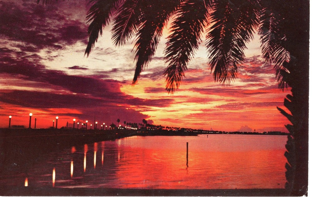 FLORIDA SUNSET - PC6201