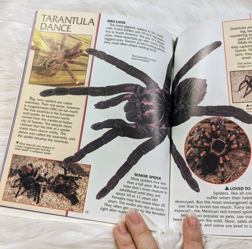 Insect Bug Books With Plastic Bugs