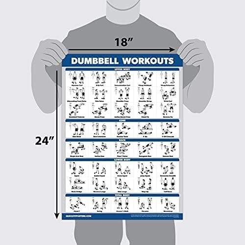 Dumbbell Workout Poster 18"x24" – Laminated Exercise Chart