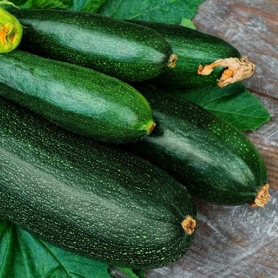 Dark Green Zucchini Summer Squash Seeds, NON-GMO, Variety Sizes, FREE SHIPPING