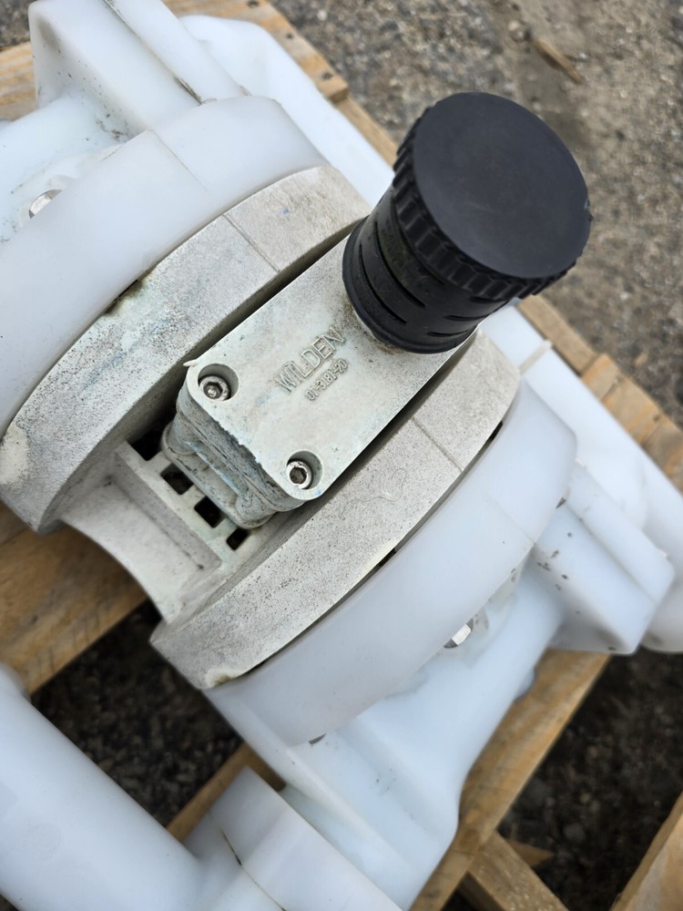 Wilden P200 Diaphragm Pump