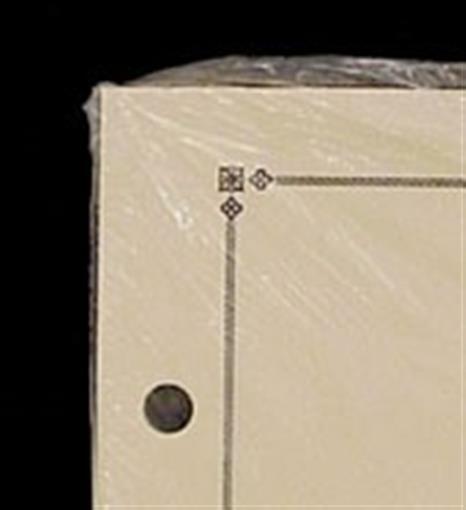 Scott Blank Pages Border C (International) ACC 130 New Pack of 20 Sheets