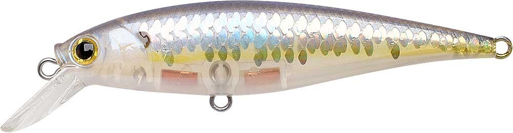 LUCKY CRAFT Pointer 78 - 225 MS Ghost Chartreuse Shad (1qty) .