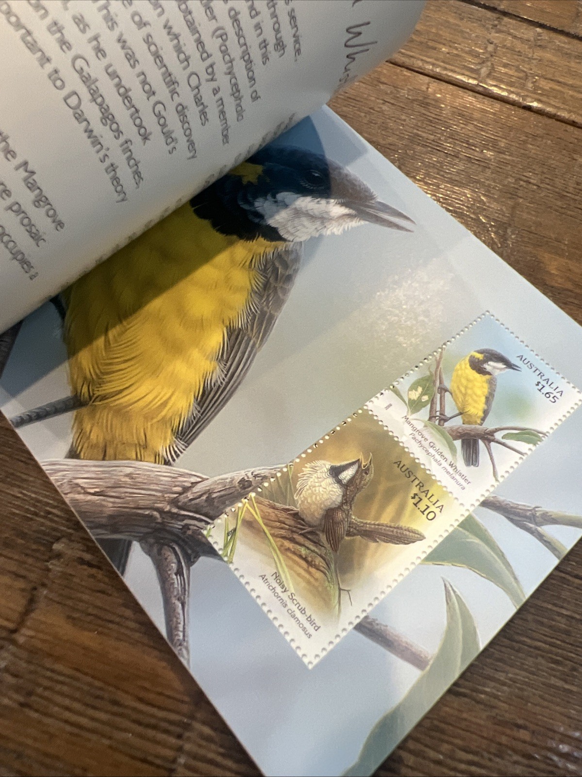 Lot Of 6: Australia Prestige: Dogs, Dangerous Aussies, Wallabies, Birds, Etc.