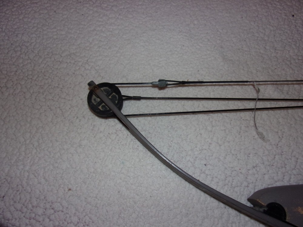 Darton Thunderstick Youth Compound Bow