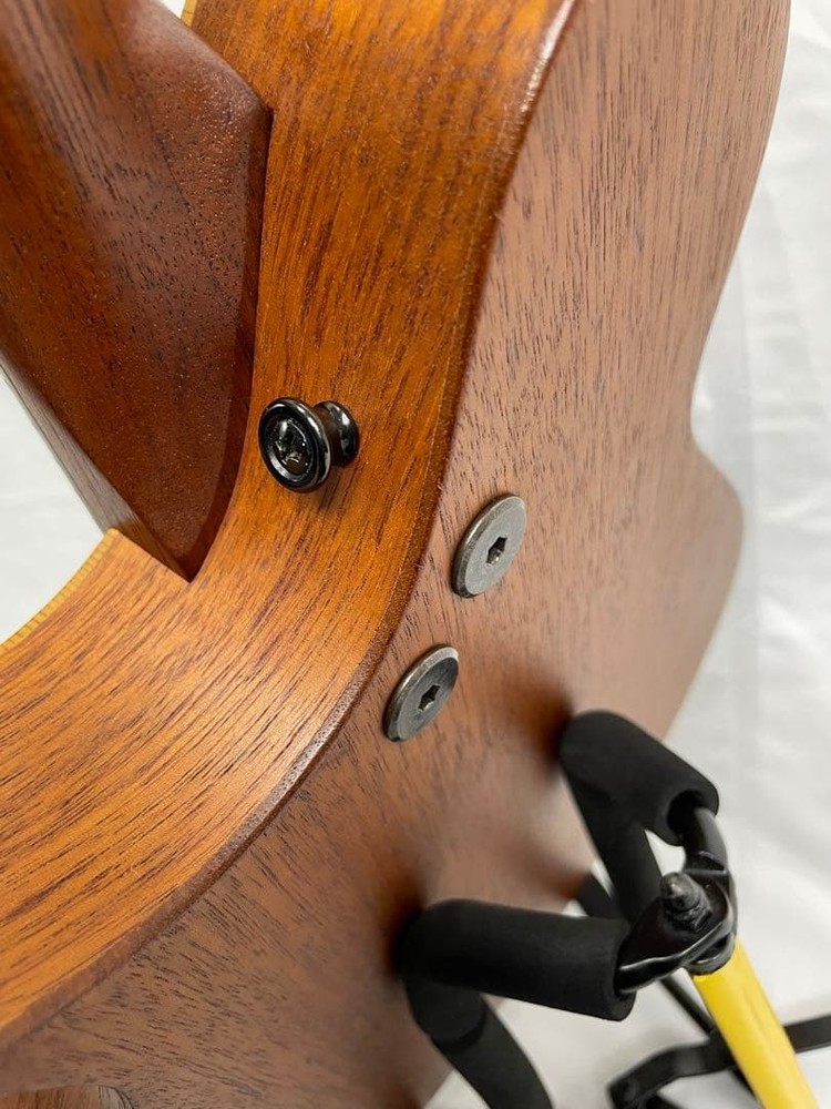 Tacoma flat mandolin m-1