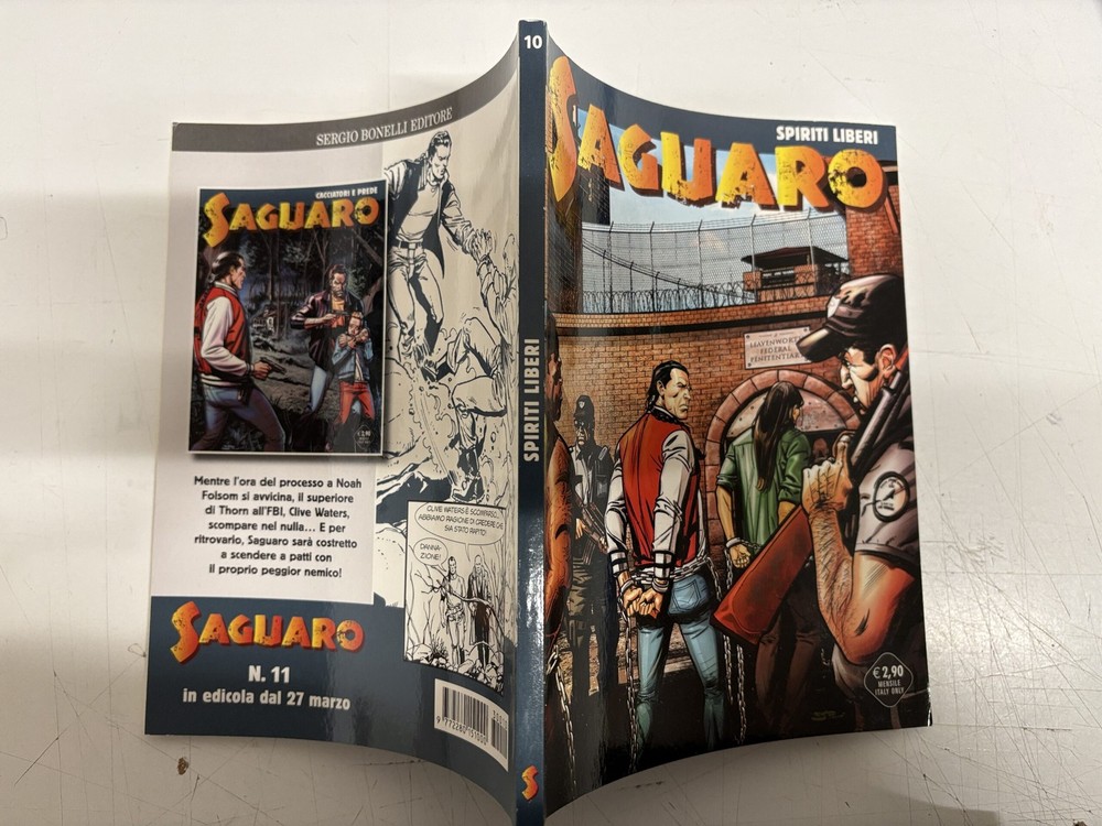 Saguaro n.10- BONELLI