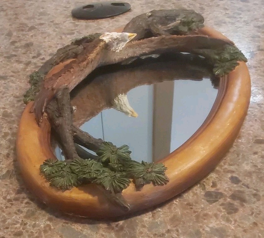 Soaring Bald Eagle Mirror