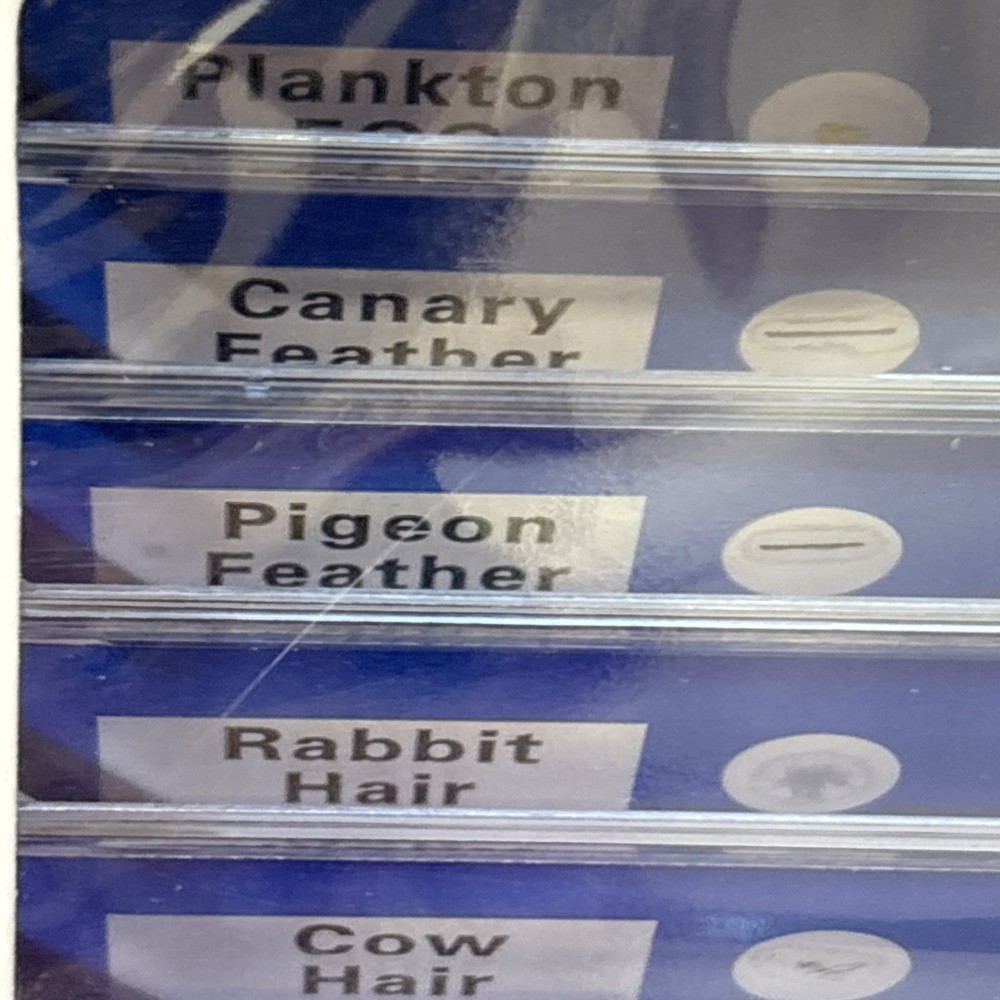 Animal Microscope Slides 12 pc