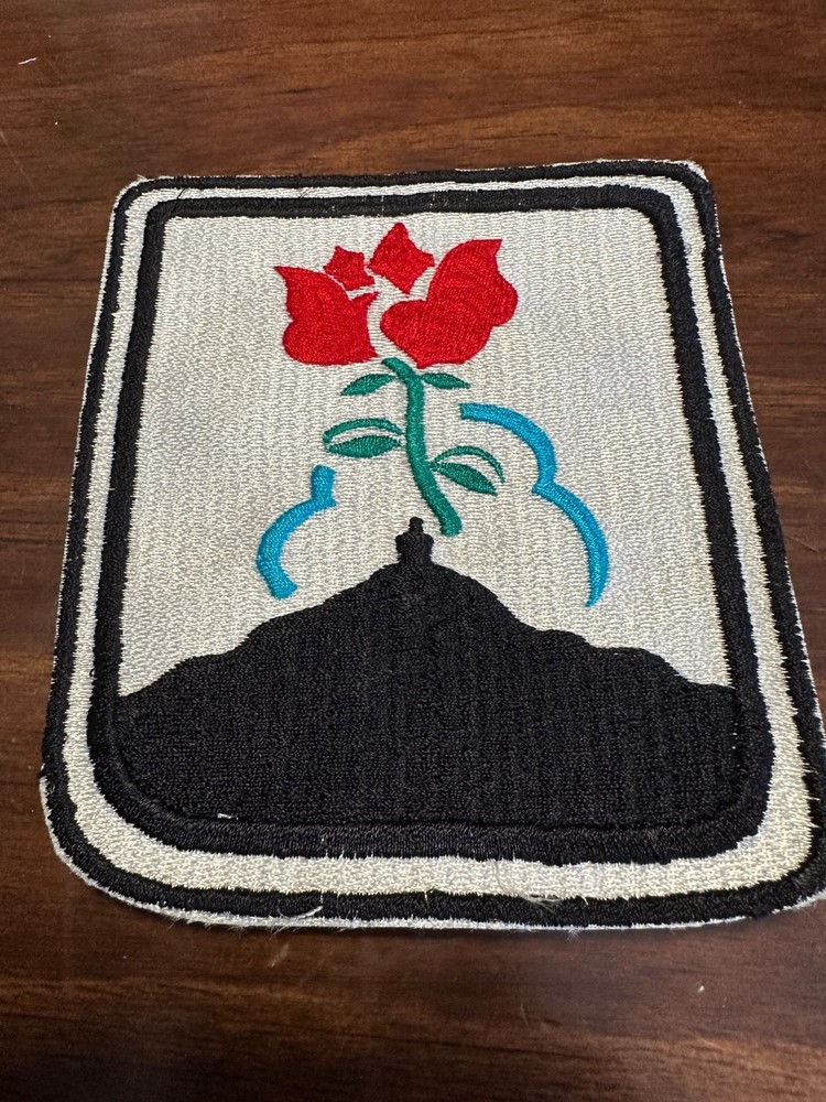 Vintage German Luftwaffe FFS B-20 Patch