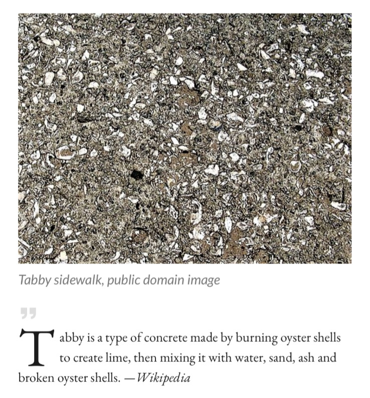 Oyster Shells for Landscaping and Concrete "Tabby Concrete" BULK by the pound