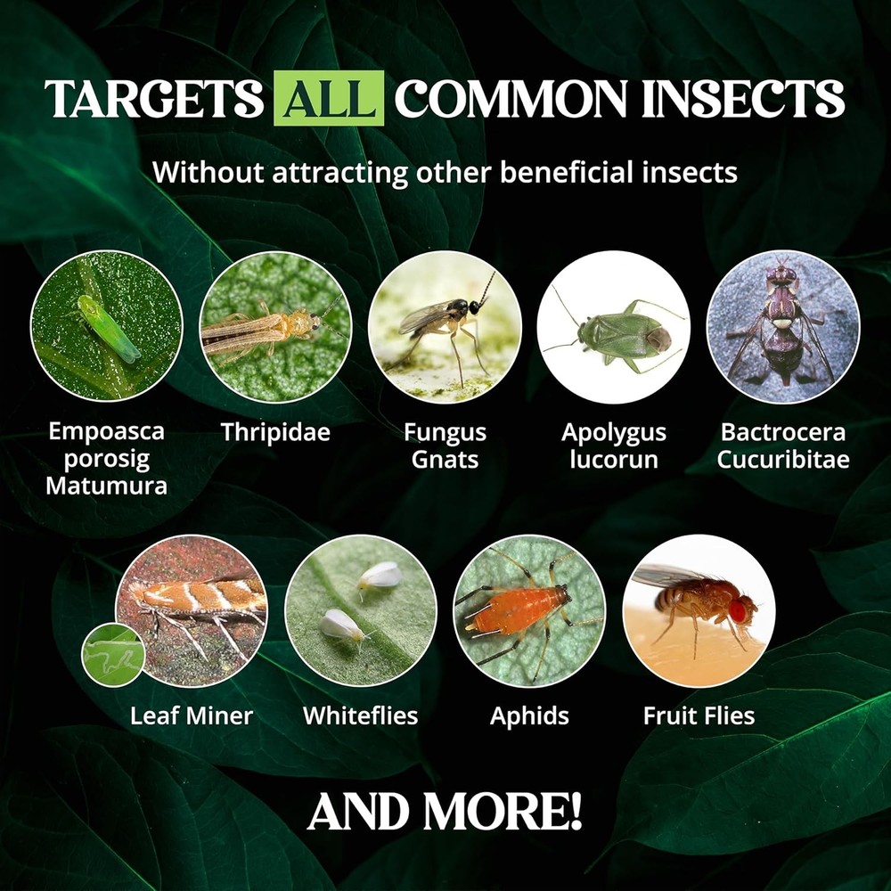 Catchmaster GRO Yellow Regular Double Sided Sticky Traps