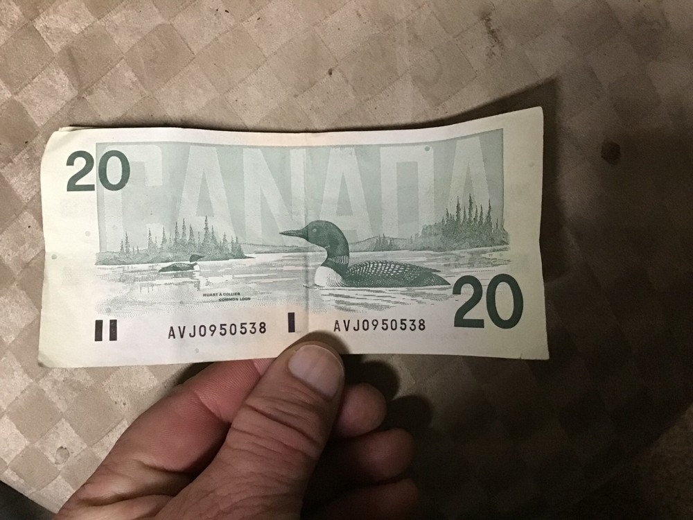 1991 Canada $20 Dollar Note $20 Bill, 1 Note