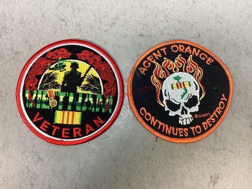 Vietnam Patch Lot