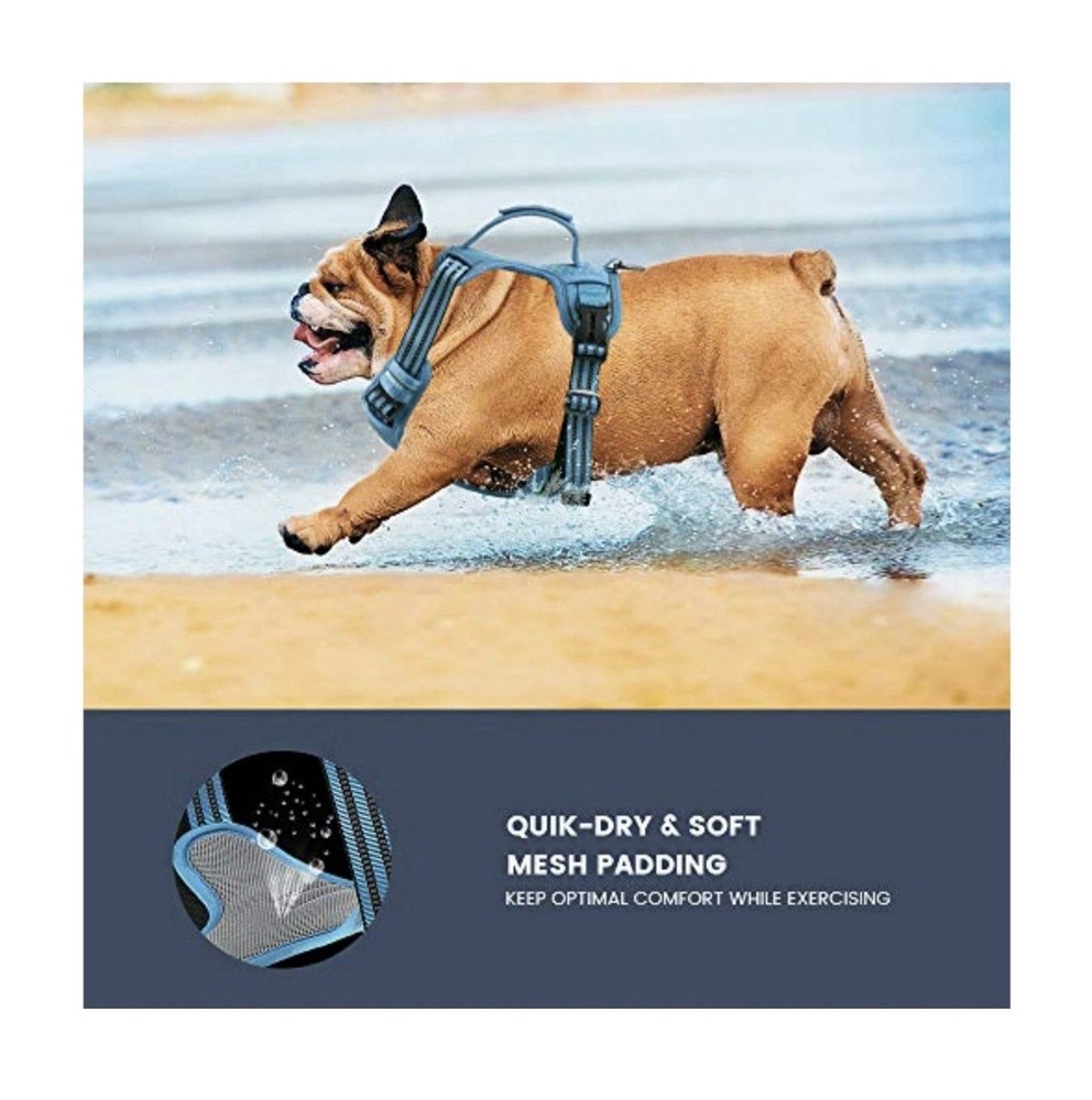 Pawtrender No Pull Dog Harness (Blue) ( X Large)